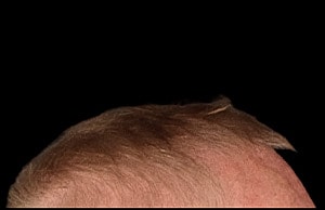 Hair Before & After
